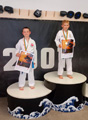 Úspěšná výprava našich mladých členů na soutěži Karate Kid Cup v Č. Budějovicích Úspěšná výprava našich mladých členů na soutěži Karate Kid Cup v Č. Budějovicích