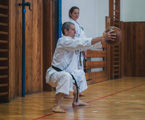 Tréninkový seminář o zážitcích z tréninku na Okinawě Tréninkový seminář o zážitcích z tréninku na Okinawě