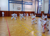 Úvodní tréninky nové tréninkové sezony 2024 -2025 ze dne 5. a 9.9.2024