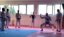 Letní klubové tréninky a příprava na ME v Karate Goju ryu
