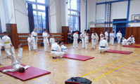 Pořádali jsme dětskou sportovní akci a výukový seminář klasického karate