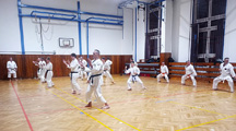 Pořádali jsme dětskou sportovní akci a výukový seminář klasického karate