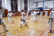 Pořádali jsme dětskou sportovní akci a výukový seminář klasického karate