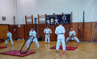 Seminář Goju Ryu Karate Do Goeikai v J. Hradci Seminář Goju Ryu Karate Do Goeikai v J. Hradci