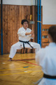 Seminář Goju Ryu Karate Do Goeikai v J. Hradci Seminář Goju Ryu Karate Do Goeikai v J. Hradci
