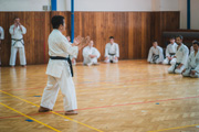 Seminář Goju Ryu Karate Do Goeikai v J. Hradci Seminář Goju Ryu Karate Do Goeikai v J. Hradci