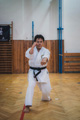 Seminář Goju Ryu Karate Do Goeikai v J. Hradci Seminář Goju Ryu Karate Do Goeikai v J. Hradci