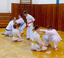 Dětská sportovní akce a fyzické testy Dětská sportovní akce a fyzické testy