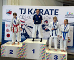 2. kolo Krajského poháru Vodňany a 3. kolo NP Goju ryu v Prostějově 2. kolo Krajského poháru Vodňany a 3. kolo NP Goju ryu v Prostějově