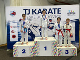 2. kolo Krajského poháru Vodňany a 3. kolo NP Goju ryu v Prostějově 2. kolo Krajského poháru Vodňany a 3. kolo NP Goju ryu v Prostějově