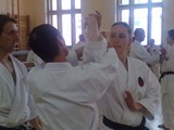 Kato 2012