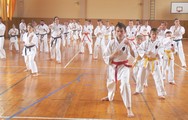 mezinarodni-seminar-telc - okinawan karate klub