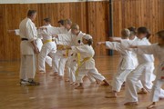 chorvatsko - okinawan karate klub