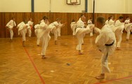 chorvatsko - okinawan karate klub