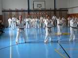 Náborová ukázka tréninku - okinawan karate klub