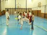 treninky-deti-a-pokrocilych - okinawan karate klub