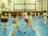 treninky-deti-a-pokrocilych - okinawan karate klub