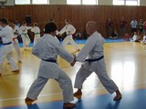 chorvatsko - okinawan karate klub