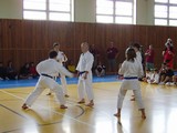 ukazka-karate-v-nove-vcelnici - okinawan karate klub