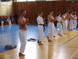 ukazka-karate-v-nove-vcelnici - okinawan karate klub