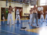 ukazka-karate-v-nove-vcelnici - okinawan karate klub