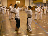 Vánoční cvičení v J. Hradci 2009