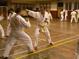 Vánoční cvičení v J. Hradci 2009