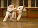 Vánoční cvičení v J. Hradci 2009
