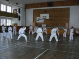 vanocni_cviceni - okinawan karate klub
