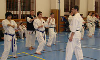 zkousky_na_barevne_pasy - okinawan karate klub