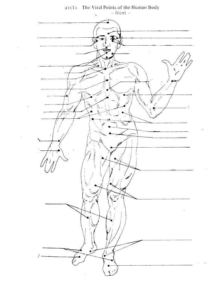vitalni_body_001.png, 179kB